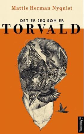 Det er jeg som er Torvald - roman (ebok) av Mattis Herman Nyquist