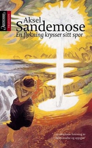 En flyktning krysser sitt spor (ebok) av Akse