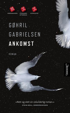 Ankomst (ebok) av Gøhril Gabrielsen