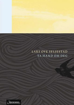 Ta hand om deg - roman (ebok) av Lars Ove Seljestad