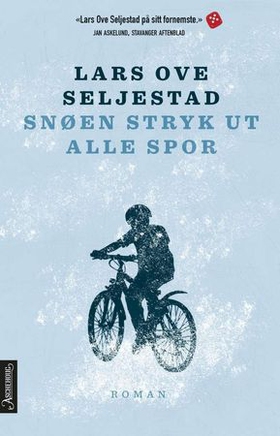 Snøen stryk ut alle spor - roman (ebok) av Lars Ove Seljestad