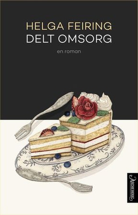 Delt omsorg - roman (ebok) av Helga Feiring
