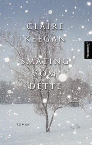 Småting som dette (ebok) av Claire Keegan