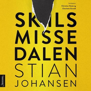 Skilsmissedalen (lydbok) av Stian Johansen