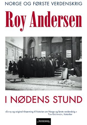 I nødens stund (ebok) av Roy Andersen