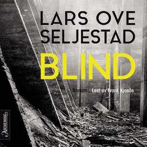 Blind (lydbok) av Lars Ove Seljestad