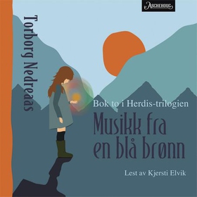 Musikk fra en blå brønn (lydbok) av Torborg N