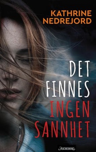 Det finnes ingen sannhet (ebok) av Kathrine N