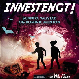 Innestengt!