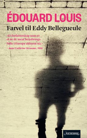 Farvel til Eddy Bellegueule (ebok) av Édouard Louis