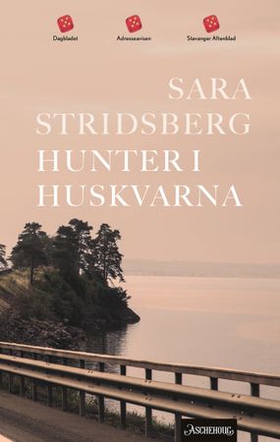 Hunter i Huskvarna (ebok) av Sara Stridsberg