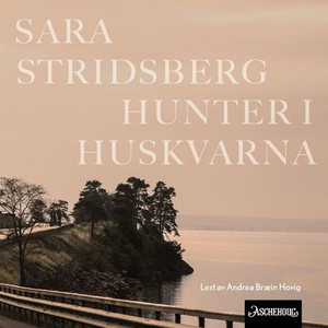 Hunter i Huskvarna (lydbok) av Sara Stridsber