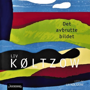 Det avbrutte bildet (lydbok) av Liv Køltzow