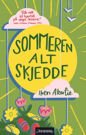 Sommeren alt skjedde (ebok) av Iben Akerlie