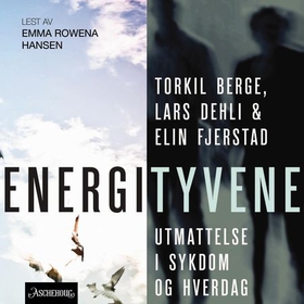 Energityvene - utmattelse i sykdom og hverdag (lydbok) av Torkil Berge