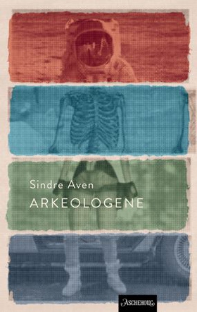 Arkeologene - en utgravning (ebok) av Sindre Aven