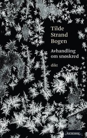 Avhandling om snøskred - lyrikk (ebok) av Tilde Strand Bogen