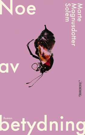 Noe av betydning - roman (ebok) av Marte Magnusdotter Solem