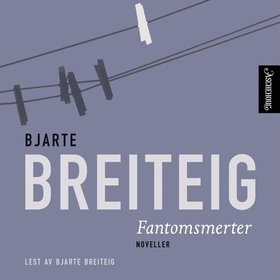 Fantomsmerter - noveller (lydbok) av Bjarte Breiteig