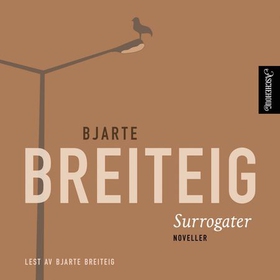 Surrogater - noveller (lydbok) av Bjarte Breiteig