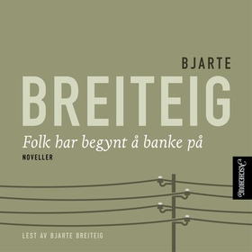 Folk har begynt å banke på - noveller (lydbok) av Bjarte Breiteig