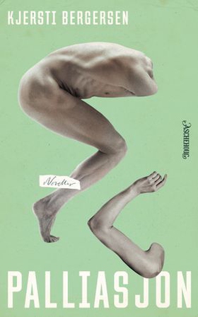 Palliasjon - noveller (ebok) av Kjersti Bergersen