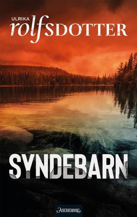 Syndebarn (ebok) av Ulrika Rolfsdotter