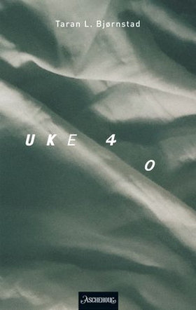 Uke 40 - roman (ebok) av Taran L. Bjørnstad