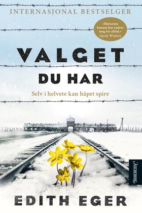 Valget du har