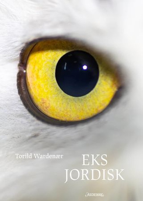 Eks jordisk (ebok) av Torild Wardenær