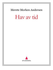 Hav av tid (ebok) av Merete Morken Andersen