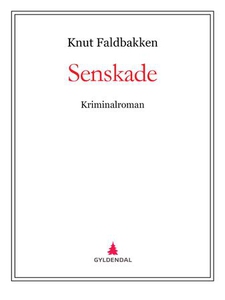 Senskade (ebok) av Knut Faldbakken