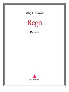 Regn (ebok) av Stig Holmås