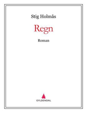 Regn - roman (ebok) av Stig Holmås
