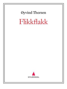 Flikkflakk (ebok) av Øyvind Thorsen