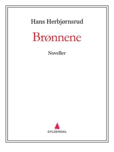 Brønnene (ebok) av Hans Herbjørnsrud
