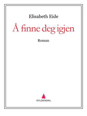 Å finne deg igjen - roman (ebok) av Elisabeth Eide