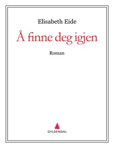 Å finne deg igjen (ebok) av Elisabeth Eide