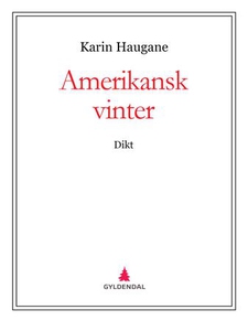 Amerikansk vinter (ebok) av Karin Haugane