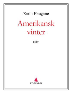 Amerikansk vinter