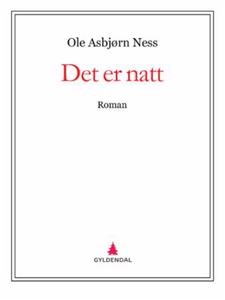 Det er natt (ebok) av Ole Asbjørn Ness