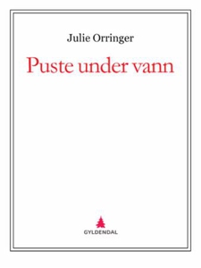 Puste under vann (ebok) av Julie Orringer
