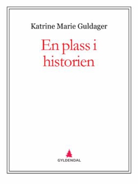 En plass i historien (ebok) av Katrine Mari