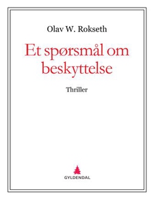 Et spørsmål om beskyttelse (ebok) av Olav W.