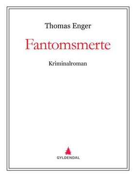 Fantomsmerte (ebok) av Thomas Enger