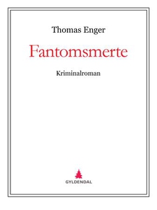 Fantomsmerte (ebok) av Thomas Enger