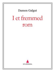 I et fremmed rom (ebok) av Damon Galgut