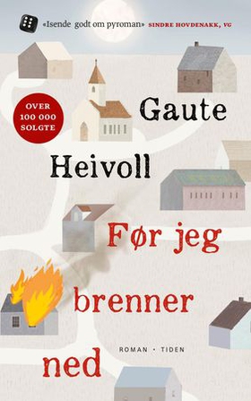 Før jeg brenner ned - roman (ebok) av Gaute Heivoll