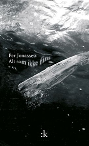 Alt som ikke fins (ebok) av Per Jonassen