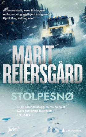 Stolpesnø (ebok) av Marit Reiersgård